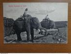 Postkaart, Ceylon elephants at work / 1909, Verzamelen, Postkaarten | Dieren, Wild dier, Gelopen, Voor 1920, Verzenden