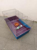 Cage pour lapins 🐰 🐰, Animaux & Accessoires, Enlèvement, Utilisé, Cage