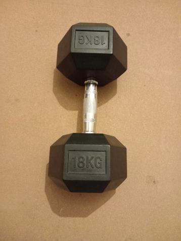 Dumbell 18kg  beschikbaar voor biedingen