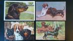 Carte postale fantaisie, Ongelopen, 1920 tot 1940, Verzenden, Hond of Kat
