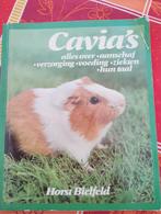 Cavia's, Boeken, Dieren en Huisdieren, Ophalen of Verzenden, Gelezen