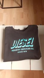 Sweater heren Diesel M, Ophalen, Diesel, Maat 48/50 (M), Zwart