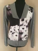 Veste cool de Kocca taille XS, Vêtements | Femmes, Gris, Enlèvement ou Envoi, Kocca, Comme neuf