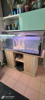 Aquarium met kast 350liter, Dieren en Toebehoren, Ophalen