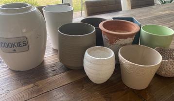 Bloempotten beschikbaar voor biedingen