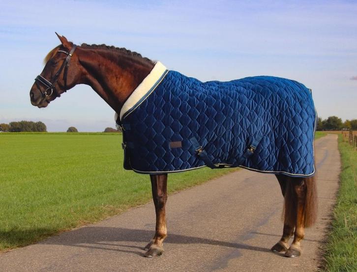 Profi-Rider Showdeken 250g Velvet Navy 215 SALE!, Dieren en Toebehoren, Paarden en Pony's | Dekens en Dekjes, Nieuw, Deken, Ophalen of Verzenden