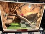 Groot betonplex terrarium 160Bx120Hx80D, Ophalen, Gebruikt, Terrarium of Paludarium