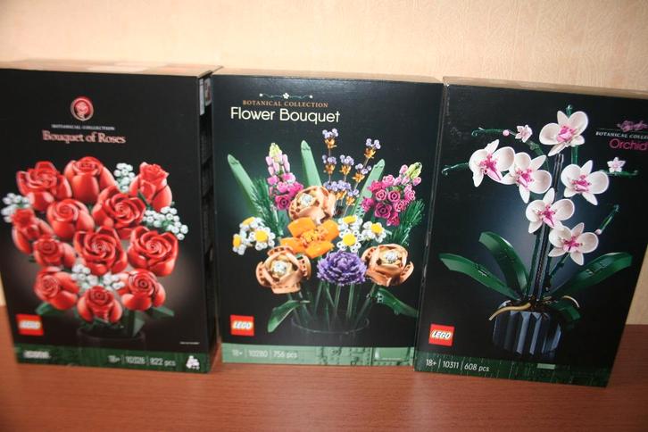 Lego Botanicals nieuw in doos sealed, Enfants & Bébés, Jouets | Duplo & Lego, Neuf, Lego, Ensemble complet, Enlèvement
