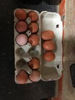 Eieren, Diversen, Levensmiddelen, Ophalen