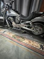 Harley-davidson V rod, Motos, Motos | Harley-Davidson, Particulier