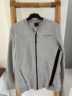 Sweat zippé REDSKINS état impeccable, Kleding | Heren, Truien en Vesten, Ophalen of Verzenden, Maat 52/54 (L), Grijs
