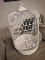 Vogels kooi, Dieren en Toebehoren, Vogels | Hokken en Kooien, Ophalen, Zo goed als nieuw
