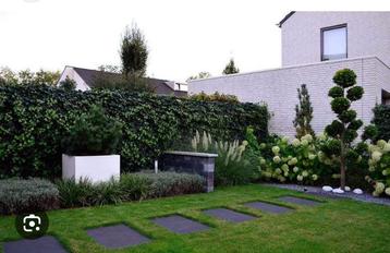 Tuin onderhoud beschikbaar voor biedingen