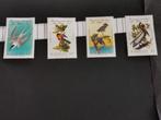 Barbuda 1985 - vogels - Audubon *, Ophalen of Verzenden, Postfris, Noord-Amerika