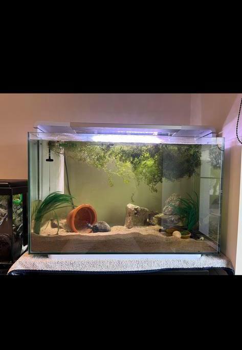 Fish 110, Dieren en Toebehoren, Vissen | Aquaria en Toebehoren, Gebruikt, Leeg aquarium, Ophalen