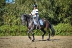 Paard zadelmak maken, doorrijden of dressuurlessen nodig?, Dieren en Toebehoren, Paarden