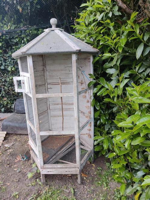 Volière, Dieren en Toebehoren, Vogels | Hokken en Kooien, Zo goed als nieuw, Volière, Ophalen