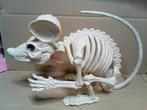 Rat Géant Squelette déco fantastique horreur..., Collections, Statues & Figurines, Utilisé, Enlèvement ou Envoi