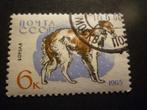 CCCP 1965 Mi 3025(o) Gestempeld/Oblitéré, Postzegels en Munten, Postzegels | Europa | Rusland, Verzenden