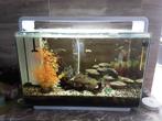 Aquarium superfisch home 60, Dieren en Toebehoren, Vissen | Aquaria en Toebehoren, Ophalen, Zo goed als nieuw