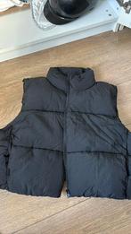 Bodywarmer, Vêtements | Hommes, Blousons sans Manches, Enlèvement ou Envoi, Comme neuf