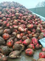 Voederbieten, Zakelijke goederen, Ophalen