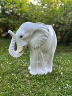 Witte prachtige grote olifant vaas (ook slak beschikb), Ophalen