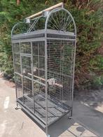 Papegaai kooi galah, Ophalen of Verzenden, Nieuw, Vogelkooi