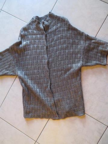 taupekleurige gilet met glinsterend effect beschikbaar voor biedingen