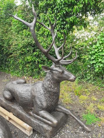 SUPERBE CERF COUCHE EN BRONZE (grandeur nature )  