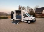 Camionette pour chevaux Mercedes, Animaux & Accessoires, Chevaux