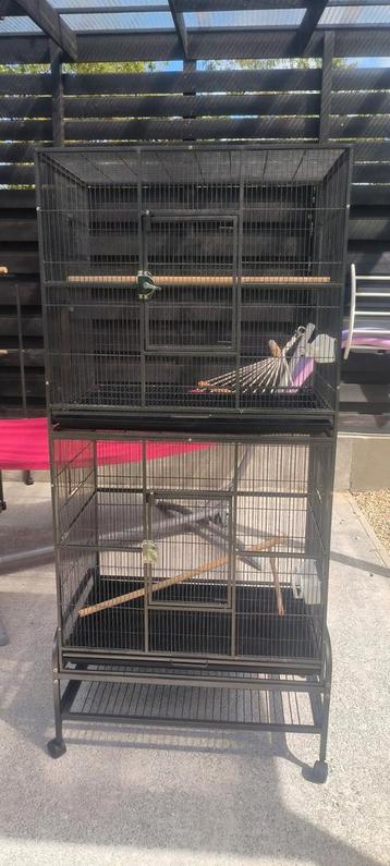 Cage double  beschikbaar voor biedingen