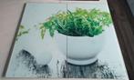 Kookplaat bescherming in glas 60cm x 50.5cm  2-delig, Ophalen