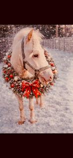 Dekhengst ter dekking, Dieren en Toebehoren