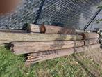 Gratis Dikke houten palen voor constructie of brandhout, Tuin en Terras, Brandhout, 3 tot 6 m³, Ophalen, Essenhout, Stammen