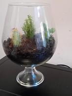 Très grand verre de 33cm, Maison & Meubles, Accessoires pour la Maison | Vases, Moins de 50 cm, Autres couleurs, Comme neuf, Verre