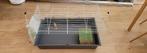 Cage cochon d'inde, Kooi, Gebruikt, 75 tot 110 cm, Cavia
