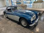 Austin healey mk2 projet, Autos, Entreprise, Achat, Austin