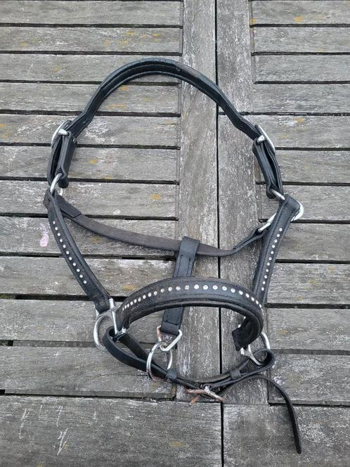 Zwart Lederen halster met steentjes maat schetlander, Dieren en Toebehoren, Paarden en Pony's | Hoofdstellen en Tuigage, Gebruikt