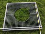 Boomrooster, Tuin en Terras, Planten | Bomen, Verzenden, Overige soorten