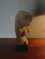 Belle image., Enlèvement