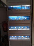 aqarium verdeeld in vakken gezocht, Dieren en Toebehoren, Ophalen, Zo goed als nieuw, Leeg aquarium