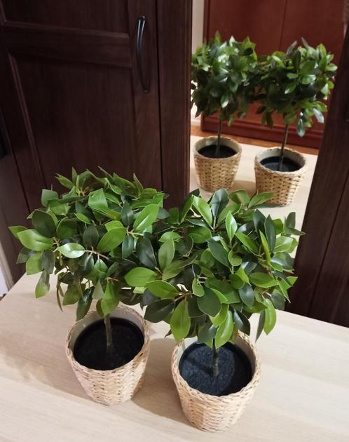 IKEA Kunstplanten + Cache-Pot, Huis en Inrichting, Woonaccessoires | Kunstplanten en Kunstbloemen, Nieuw, Binnen, Buiten, Ophalen of Verzenden