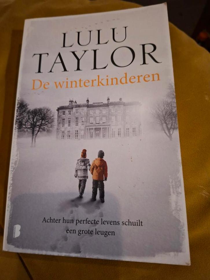 Lulu Taylor - De winterkinderen, Boeken, Thrillers, Ophalen of Verzenden