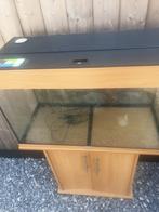 Magnifique aquarium Juwel Rio125 + armoire à vendre !, Enlèvement, Utilisé, Aquarium vide