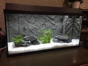 Jewel primo 110 aquarium met grijze natuurstenen