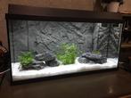Jewel primo 110 aquarium met grijze natuurstenen, Dieren en Toebehoren, Vissen | Aquaria en Toebehoren, Gebruikt, Ophalen, Leeg aquarium