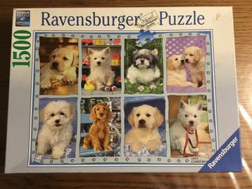 Puzzel Ravensburger 1500 stukjes Puppies beschikbaar voor biedingen