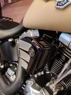 Harley-Davidson SOFTAIL FAT BOY, Motos, 2 cylindres, 1687 cm³, Chopper, Entreprise