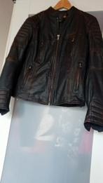 Veste moto femme Modeka en cuir